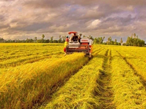 Hình ảnh này chưa có thuộc tính alt; tên tệp của nó là nong%20ngiep%20tq.jpg